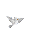 un oiseau