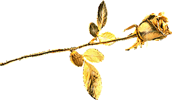 UN EFLEUR D'AMITIE
